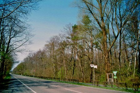 NSG Heiliges Meer L 504