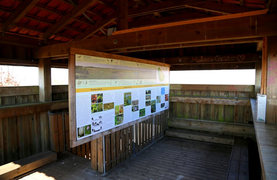 NSG Recker Moor Moorturm 04