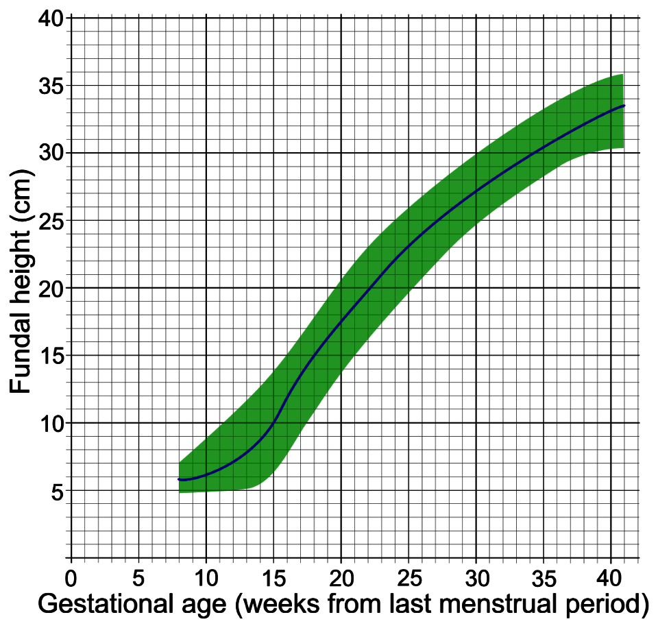 Gestational age and fundal height