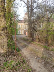 German house in Vinogradovo - 2021-05-02- p1