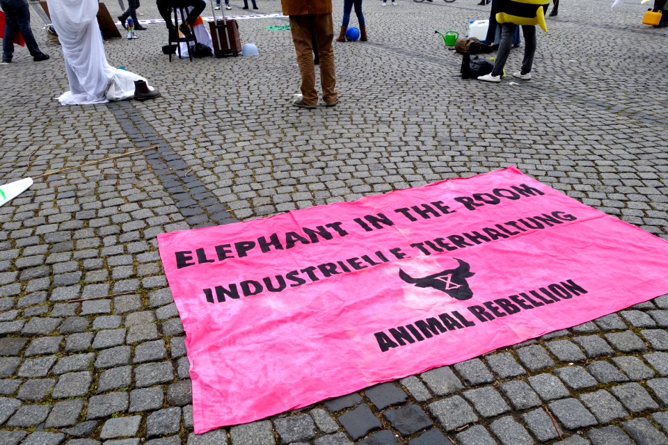 German Overshoot Day, Düsseldorf 2020-05-03 (3)