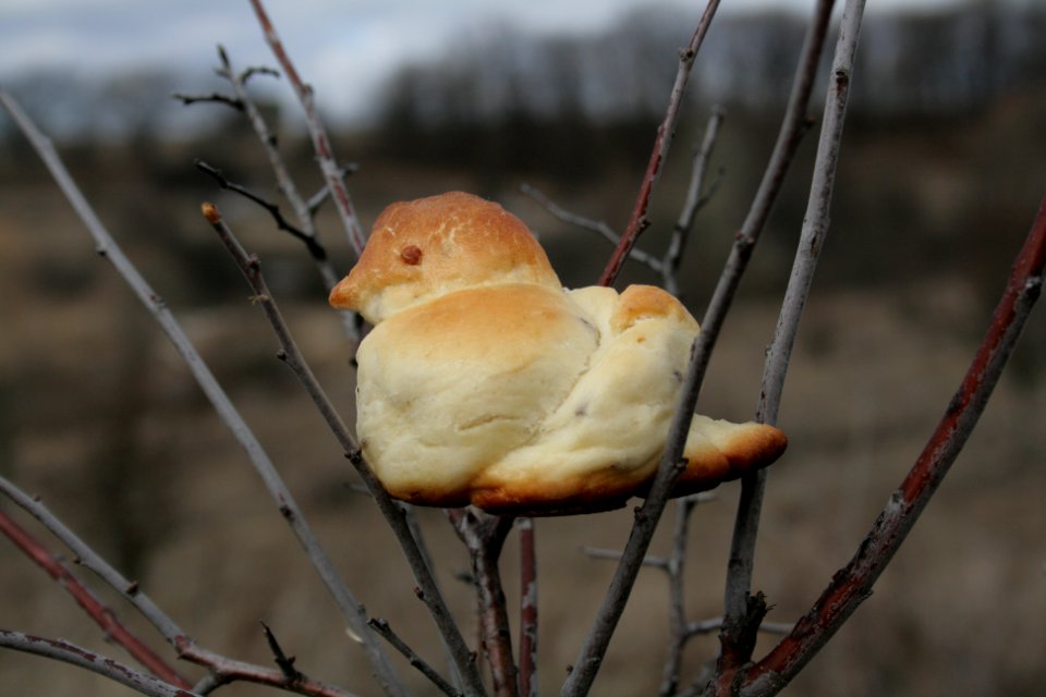 Lob Жаворонки 84