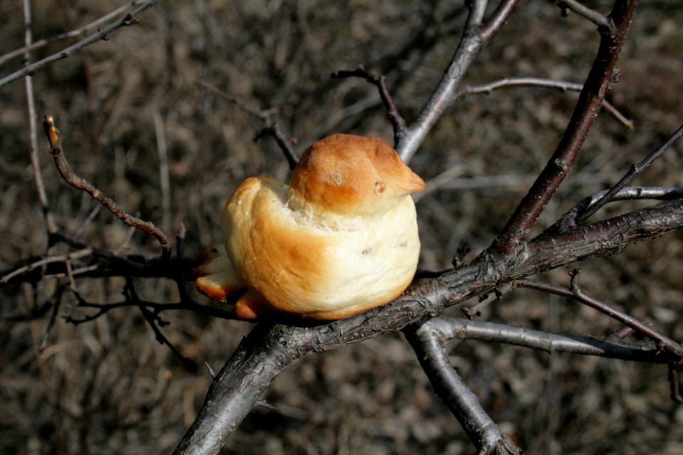 Lob Жаворонки 57