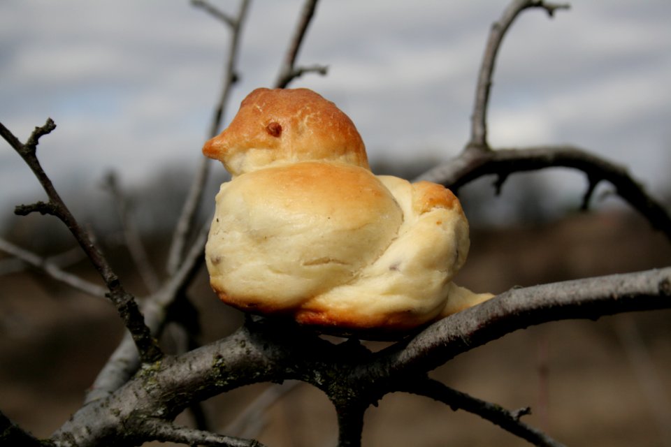 Lob Жаворонки 73
