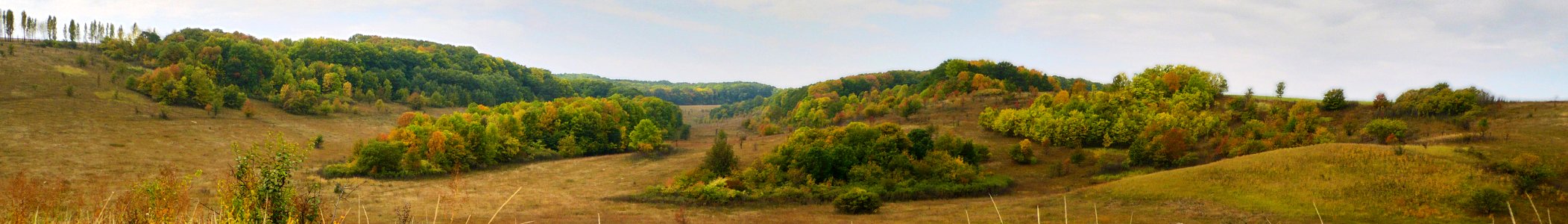 Lob Балка Каменный лог8 Baner