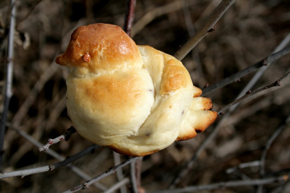 Lob Жаворонки 70