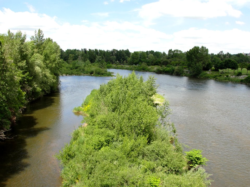 Loire Saint Cyprien - Andrézieux (42)