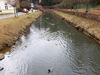 Luhačovice 20210316 102301