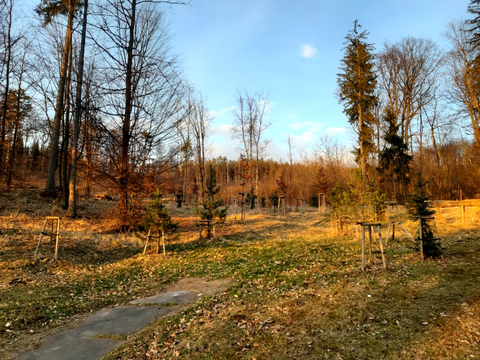 Luhačovice 20210315 172627