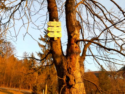 Luhačovice 20210315 172217