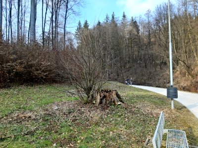 Luhačovice 20210319 154459