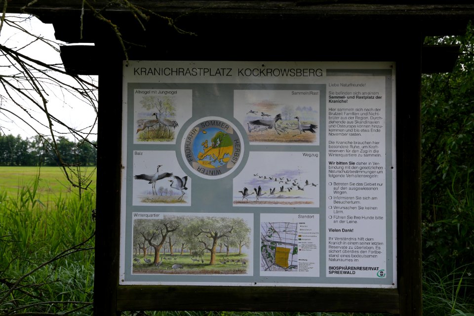 Luebben Kranichrastplatz Kockrowsberg 01