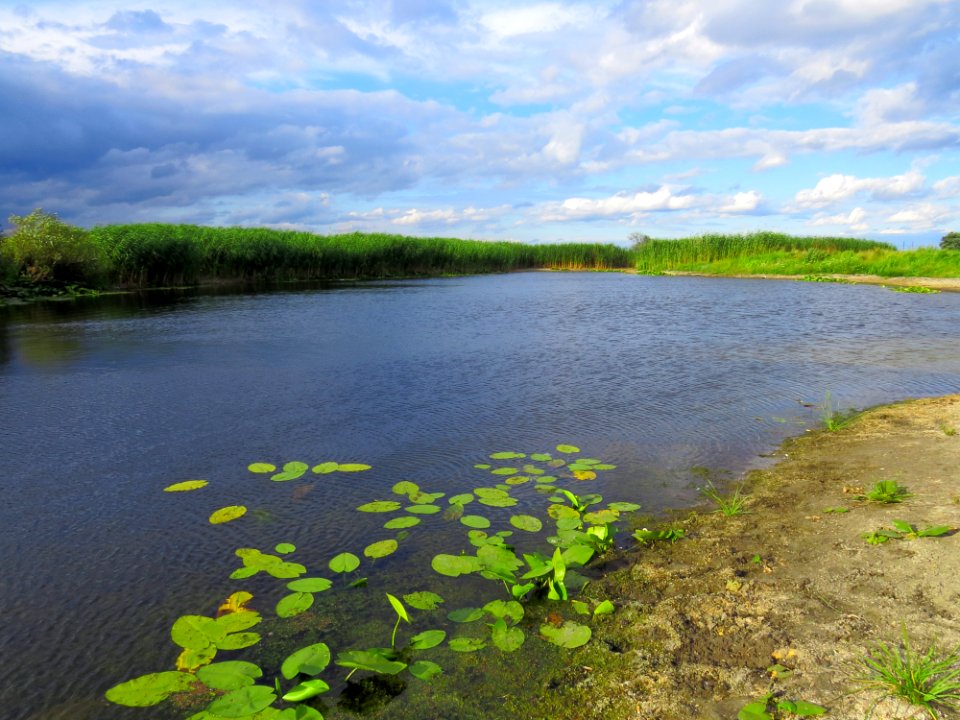 Luchyshchevo lake near Pohreby3