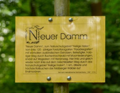 Luettenhagen Neuer Damm 01