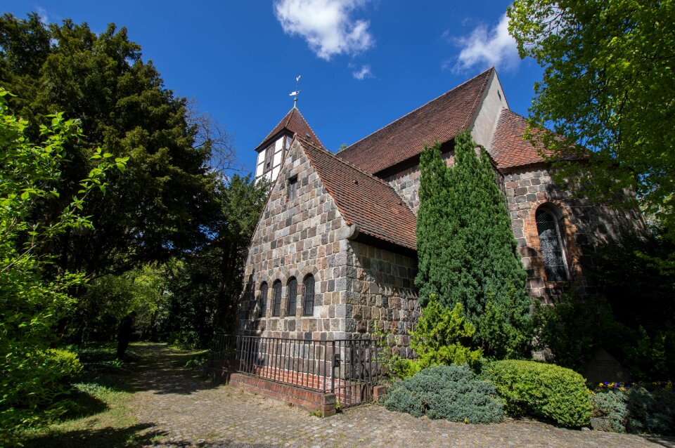 Building trees steeple photo