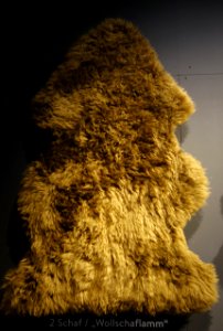 Modische Raubzüge - Eine Ausstellung in der Textilfabrik Cromford (015)