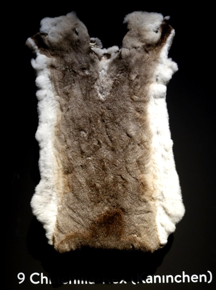 Modische Raubzüge - Eine Ausstellung in der Textilfabrik Cromford (021)