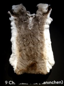 Modische Raubzüge - Eine Ausstellung in der Textilfabrik Cromford (021)