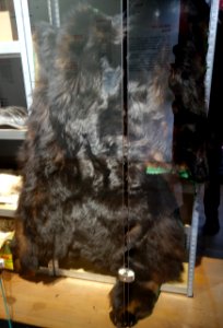 Modische Raubzüge - Eine Ausstellung in der Textilfabrik Cromford (009)