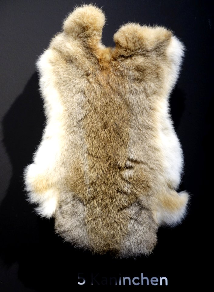 Modische Raubzüge - Eine Ausstellung in der Textilfabrik Cromford (017)