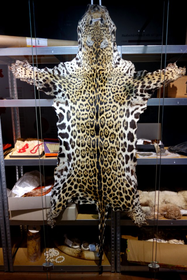 Modische Raubzüge - Eine Ausstellung in der Textilfabrik Cromford (005)
