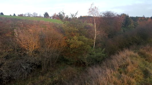 Mladotice Trojany rail track