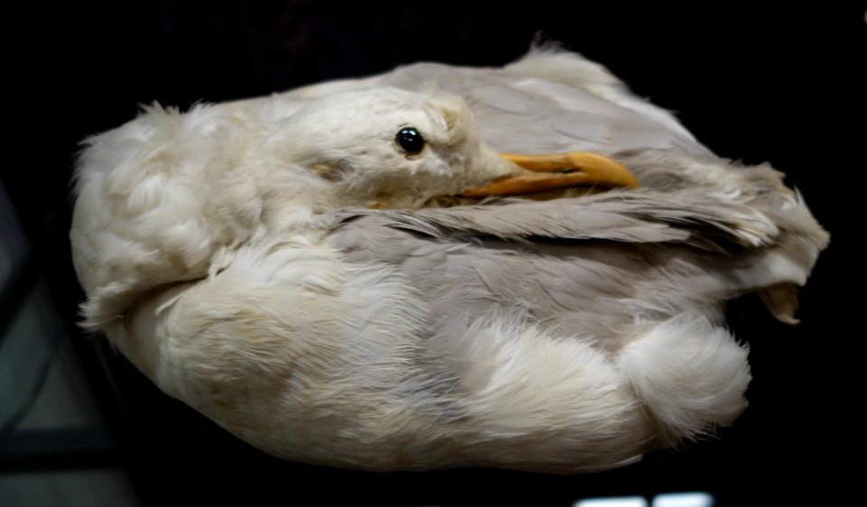 Modische Raubzüge - Eine Ausstellung in der Textilfabrik Cromford (038)