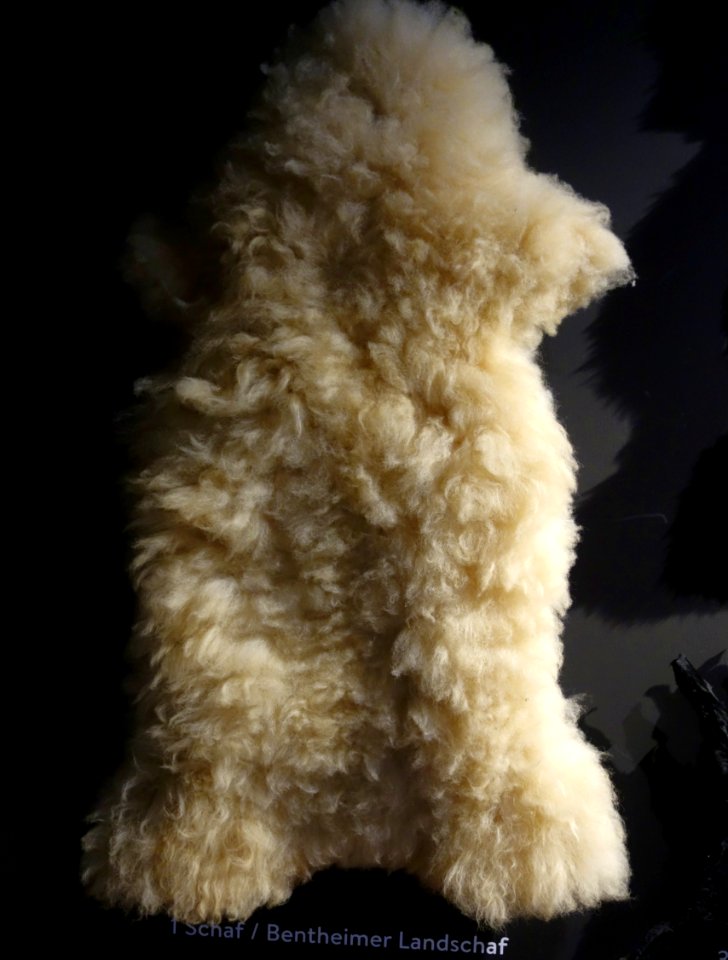 Modische Raubzüge - Eine Ausstellung in der Textilfabrik Cromford (013)