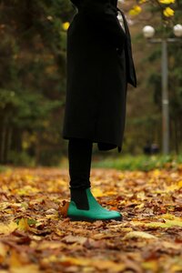 Green autumn leaves