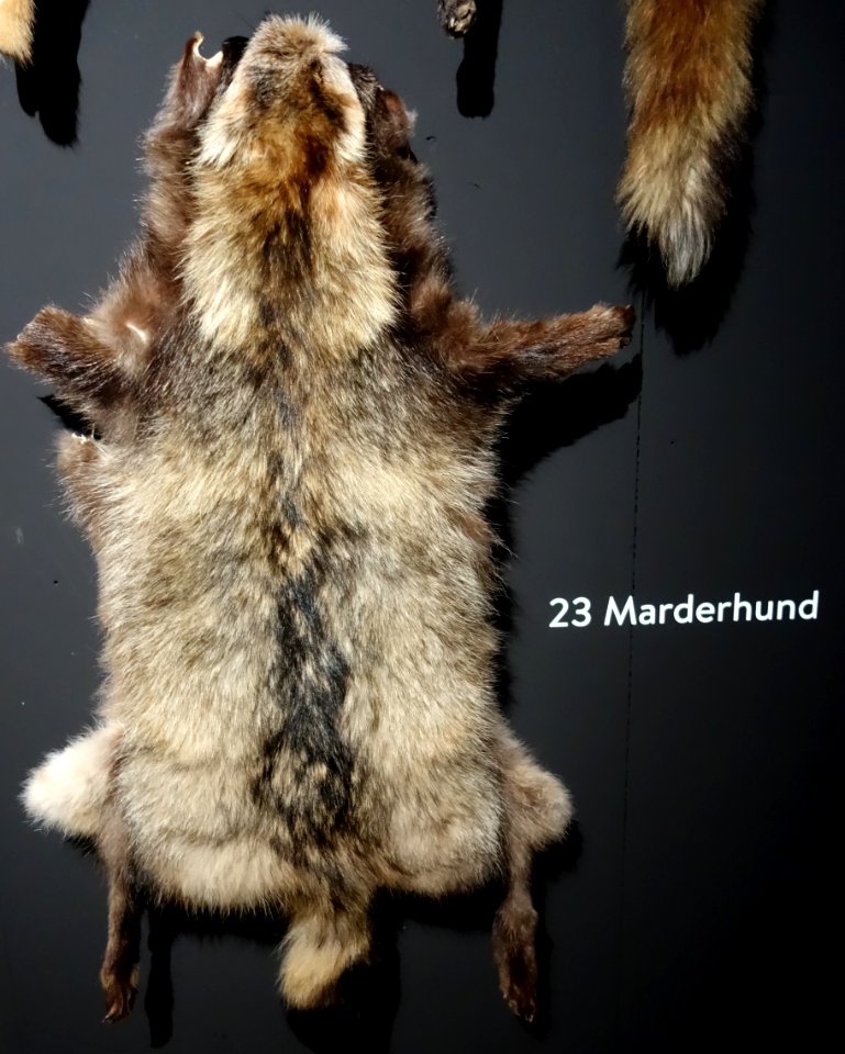 Modische Raubzüge - Eine Ausstellung in der Textilfabrik Cromford (034)