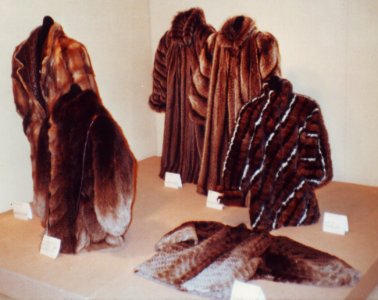 Modellwettbewerb des deutschen Kürschnerhandwerks 1985, prämierte Modelle (035)