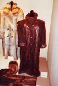 Modellwettbewerb des deutschen Kürschnerhandwerks 1985, prämierte Modelle (014)