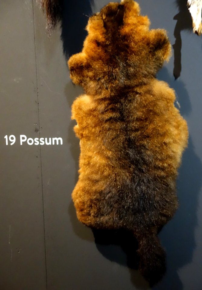 Modische Raubzüge - Eine Ausstellung in der Textilfabrik Cromford (030)