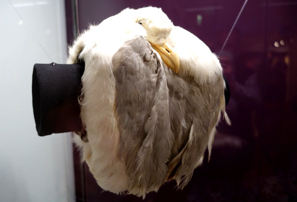 Modische Raubzüge - Eine Ausstellung in der Textilfabrik Cromford (039)