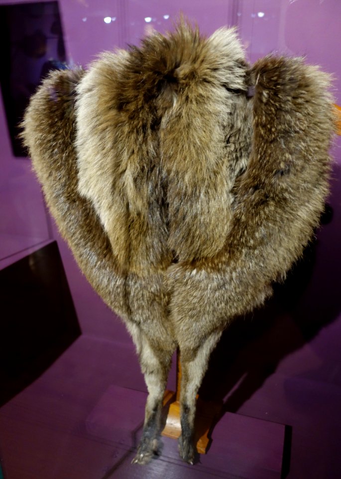 Modische Raubzüge - Eine Ausstellung in der Textilfabrik Cromford (060)