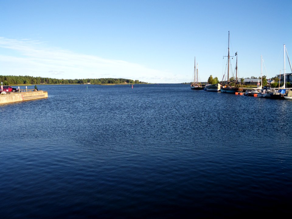 Monsteras port