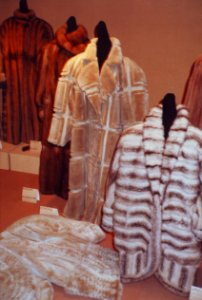 Modellwettbewerb des deutschen Kürschnerhandwerks 1985, prämierte Modelle (028)