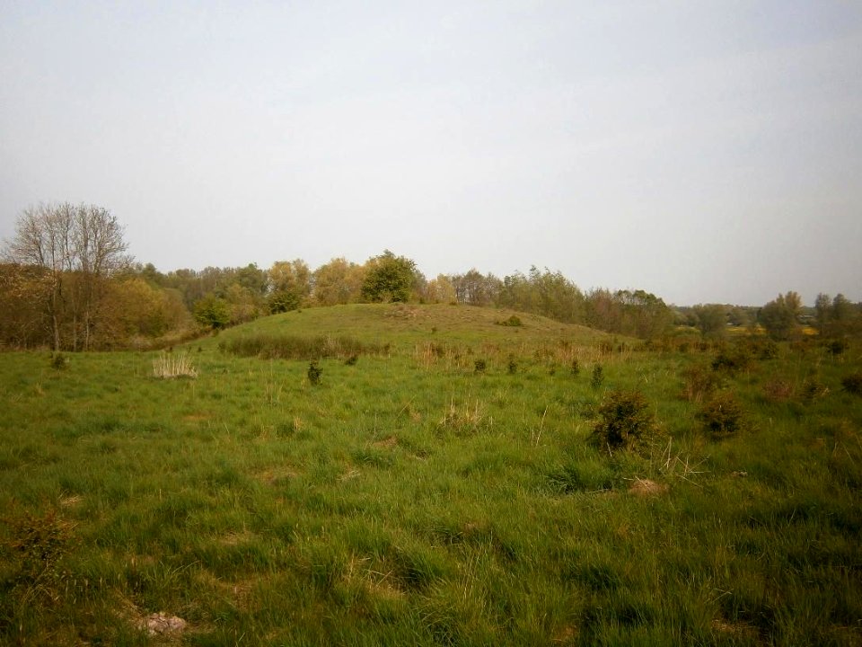 MoerderbergWeitin1