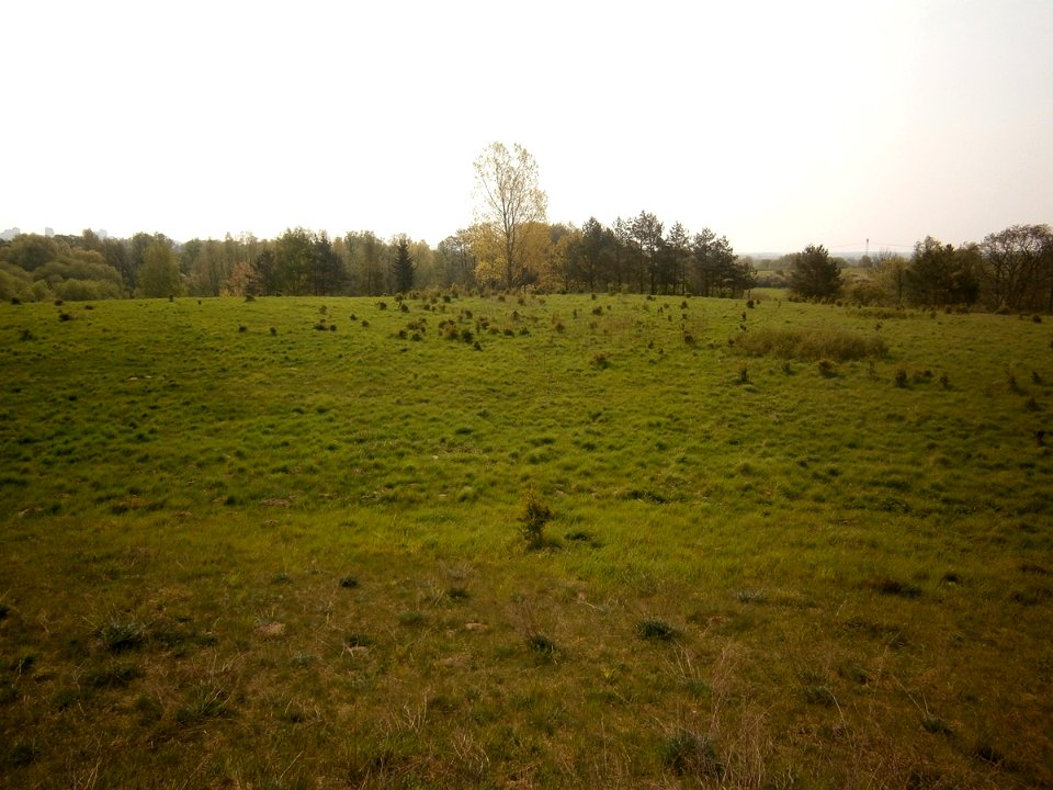 MoerderbergWeitin5
