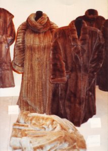 Modellwettbewerb des deutschen Kürschnerhandwerks 1985, prämierte Modelle (006)