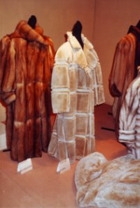 Modellwettbewerb des deutschen Kürschnerhandwerks 1985, prämierte Modelle (027)