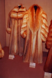 Modellwettbewerb des deutschen Kürschnerhandwerks 1985, prämierte Modelle (029)
