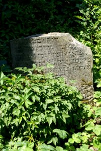 Michle synagogue 08