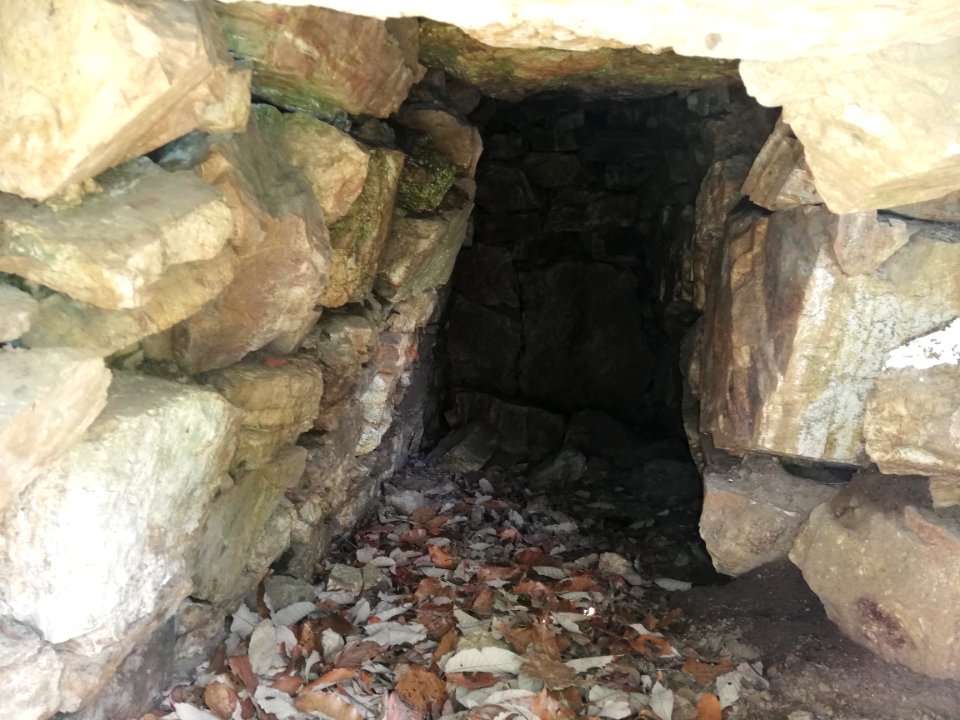 Miiyama Kofun 20210318 03