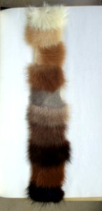 Mink colours (examples, 1964)