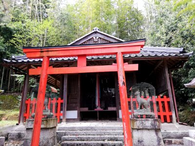 Mitsutaka Inari Shrine 20210405 02