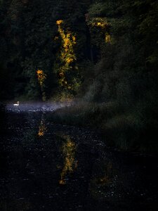 Water lake landscape