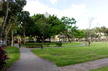 Minsheng Park in Morning 20141206b