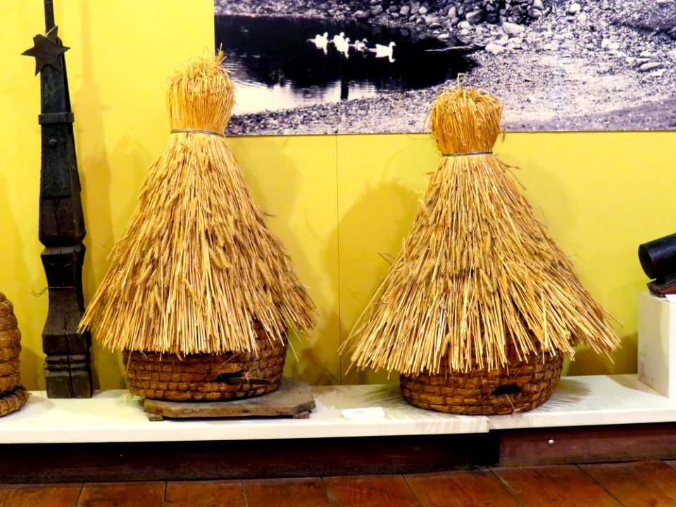 Muzeum Etnografii Gdańsk 021