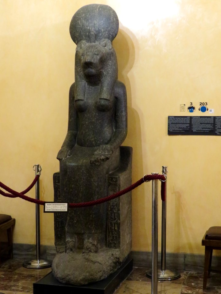 Muzeum Archeologiczne w Poznaniu 13
